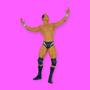 WWE Randy Orton Unmatched Fury Wrestling Action Figure